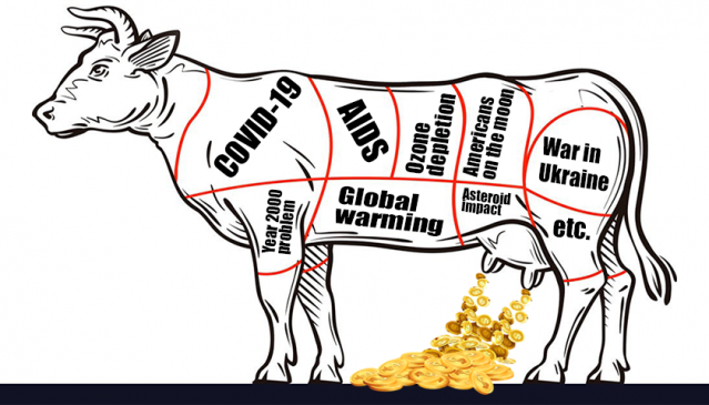 Cow